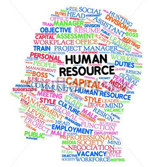 HR Management Software Services